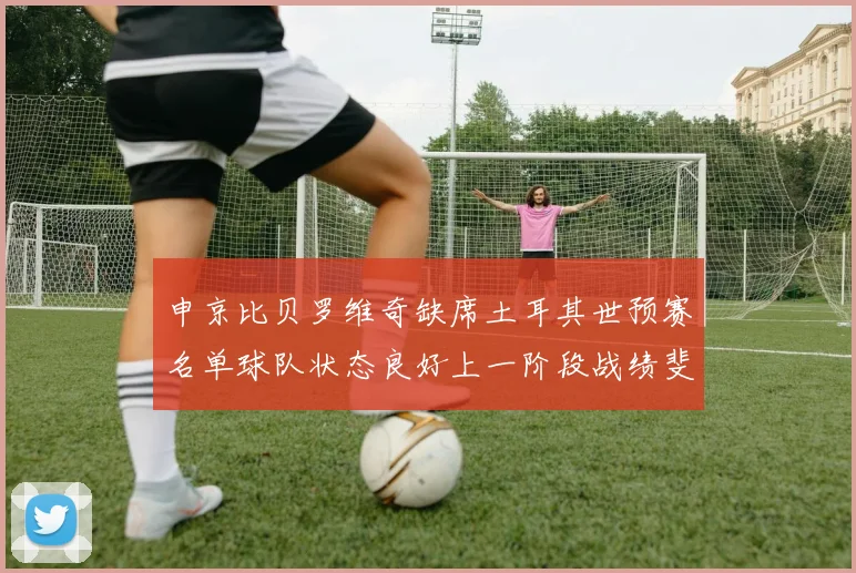 申京比贝罗维奇缺席土耳其世预赛名单球队状态良好上一阶段战绩斐然